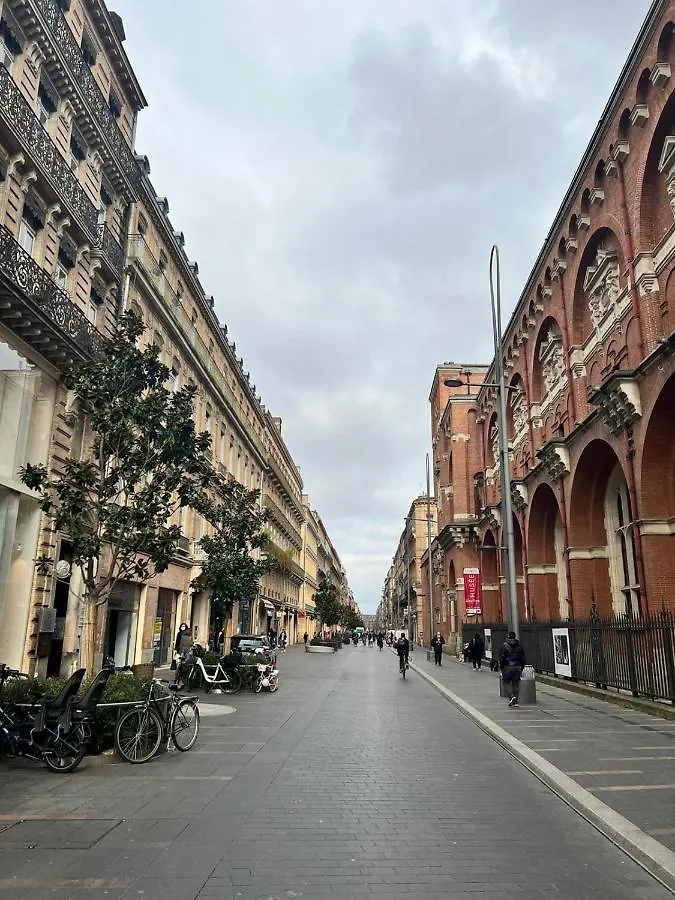 Appartement L Alsace Lorraine - A deux pas du Capitole - Entrée autonome -WIFI à Toulouse